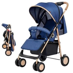 Convertible Stroller